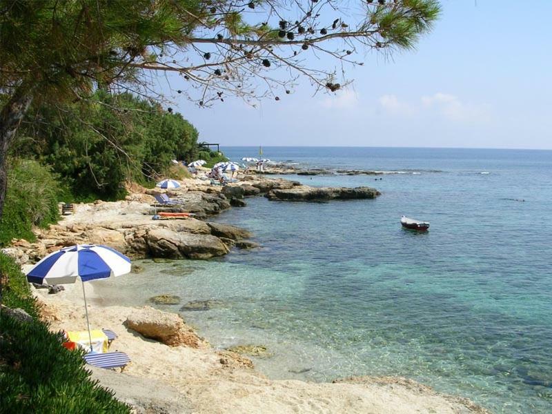 Villa Saradari Χερσόνησος Εξωτερικό φωτογραφία